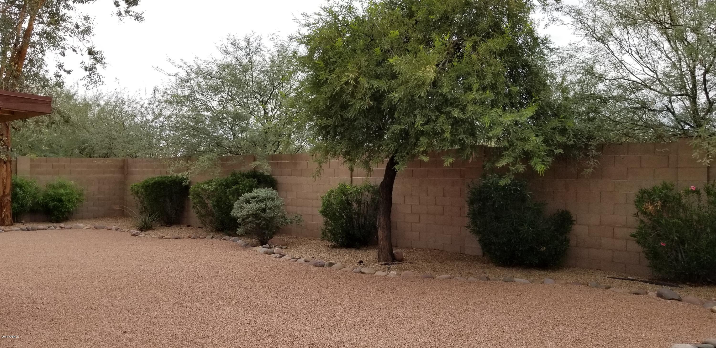 1308 East Grandview Road Phoenix, AZ 85022 - Photo 21 of 24 BACK YARD