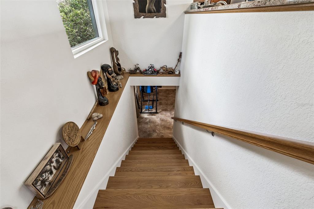 37440 Phelps Road Zephyrhills, FL 33541 - Photo 31 of 80