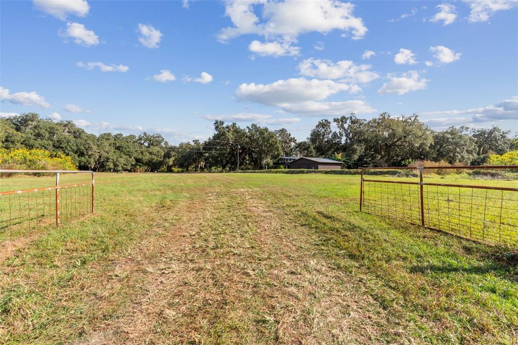 37440 Phelps Road Zephyrhills, FL 33541 - Photo 80 of 80