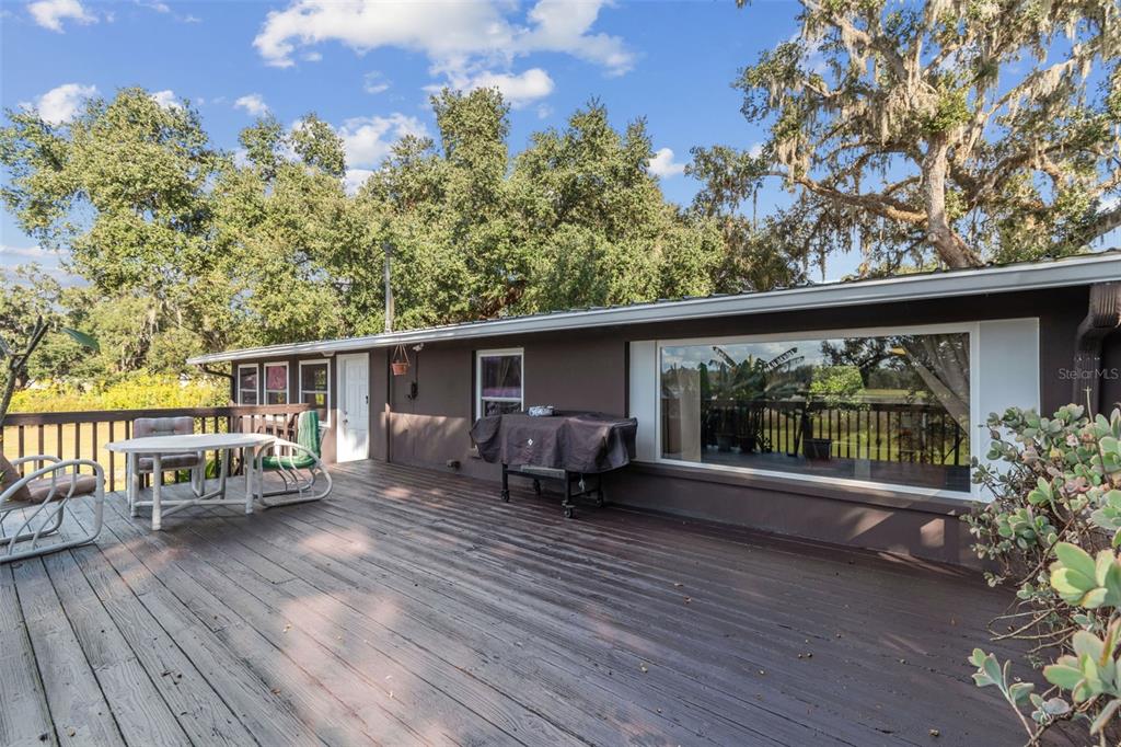 37440 Phelps Road Zephyrhills, FL 33541 - Photo 8 of 80