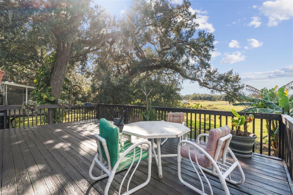 37440 Phelps Road Zephyrhills, FL 33541 - Photo 10 of 80