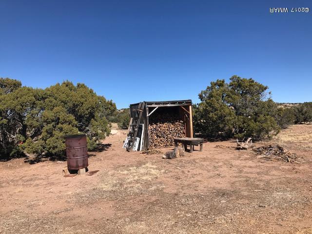 868 Serenity Ranch Road St. Johns, AZ 85936 - Photo 17 of 18