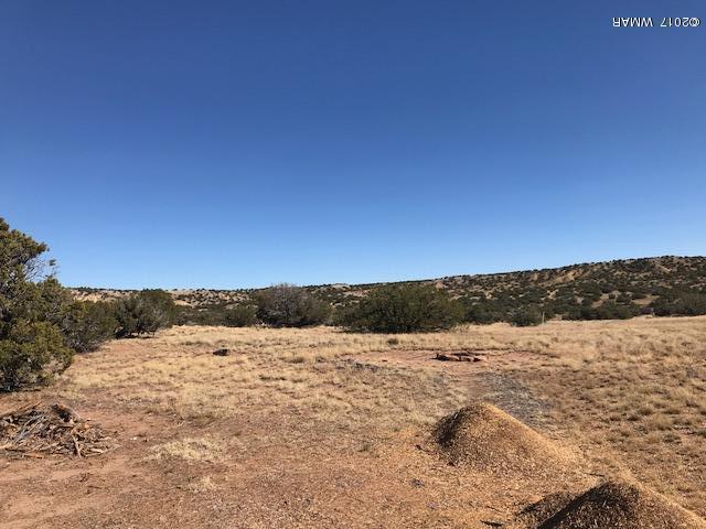 868 Serenity Ranch Road St. Johns, AZ 85936 - Photo 18 of 18