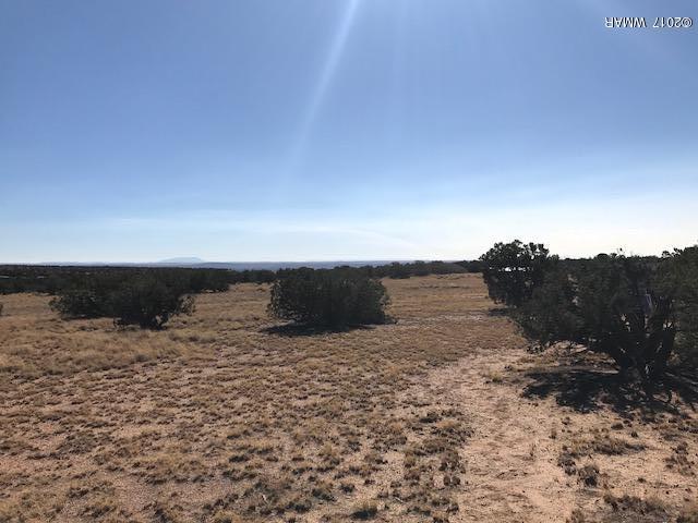 868 Serenity Ranch Road St. Johns, AZ 85936 - Photo 4 of 18