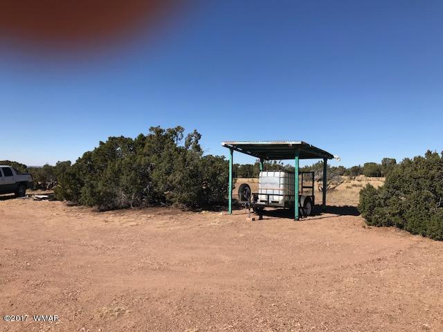 868 Serenity Ranch Road St. Johns, AZ 85936 - Photo 7 of 18