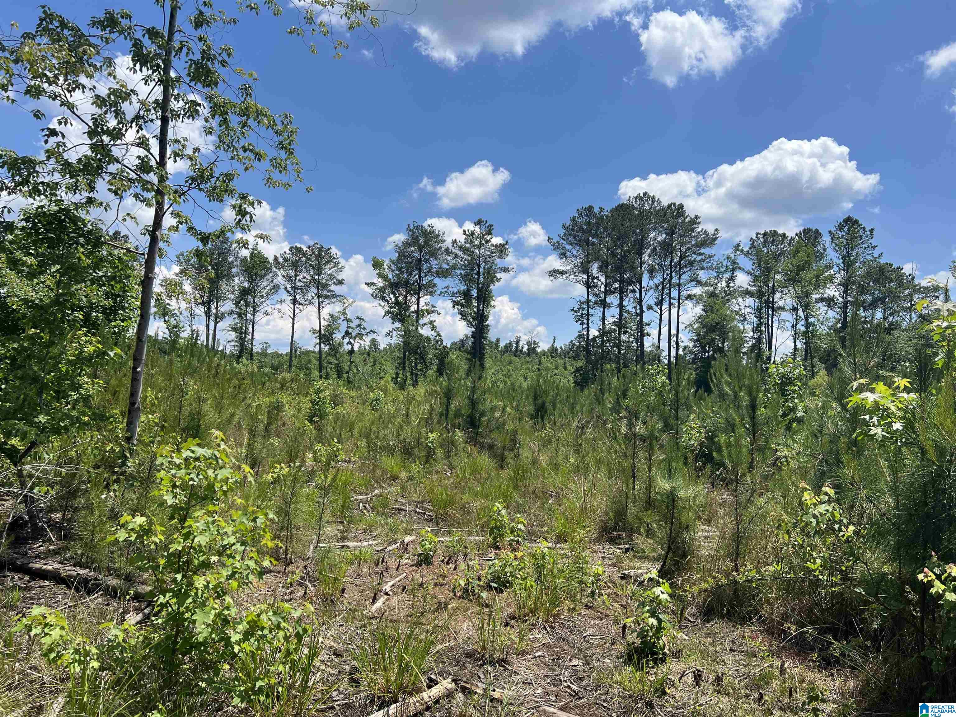 0 Altoona Cutoff Road, Unit 47 5 Oneonta, AL 35121 - Photo 36 of 36