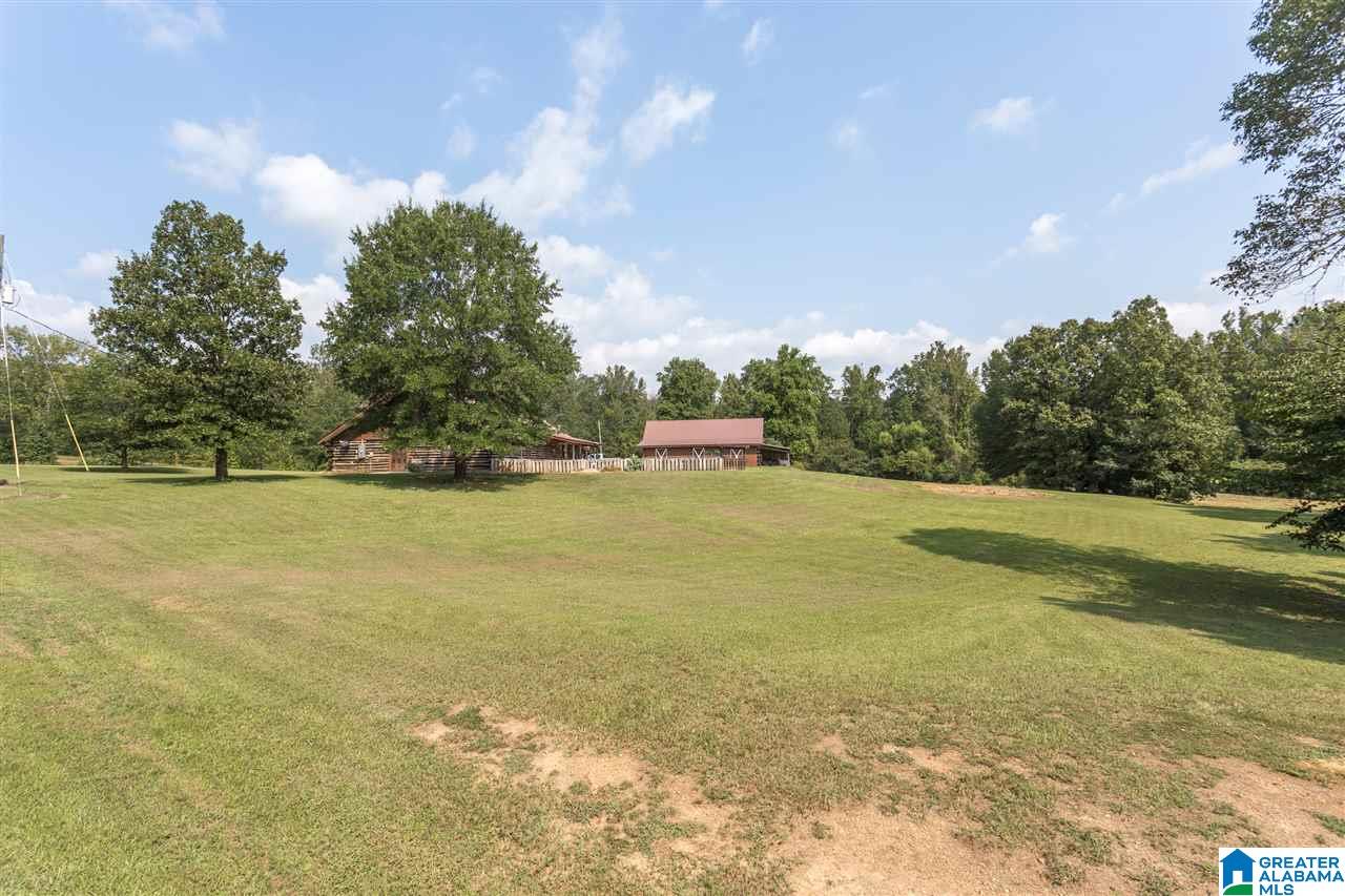 99 Crawfish Lane Ragland, AL 35131 - Photo 45 of 45