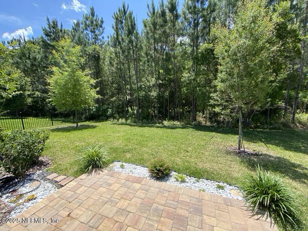 281 King George Avenue St. Augustine, FL 32092 - Photo 17 of 17 Backyard