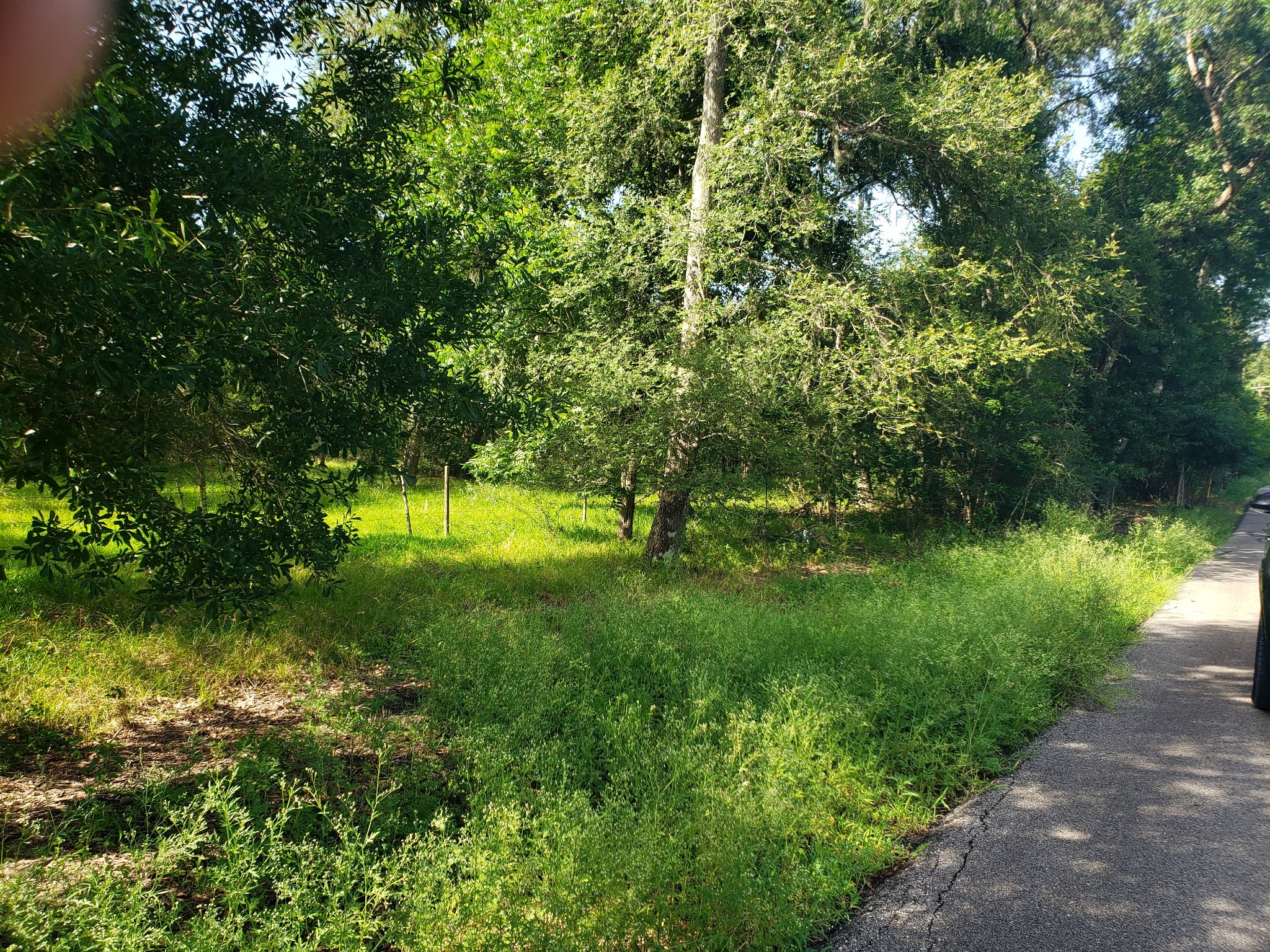 20921 East Levee Road Guy, TX 77444 - Photo 2 of 2 a backyard of a house with a yard and large trees