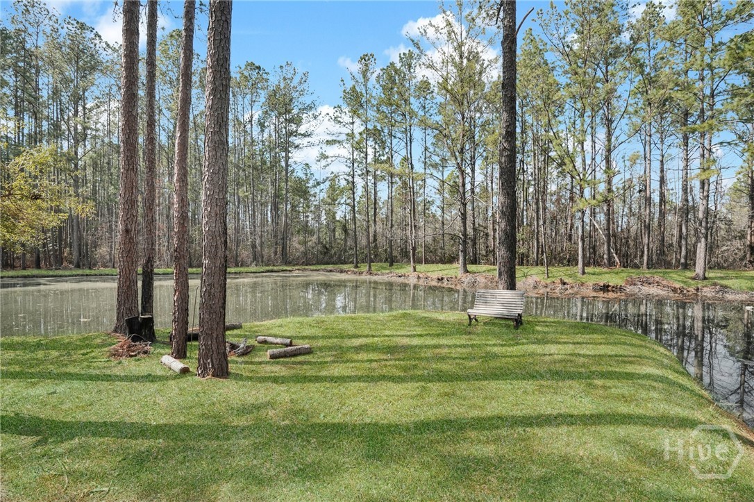 548 Sand Hill Road Brooklet, GA 30415 - Photo 4 of 44 Natural Spring Fed Pond
