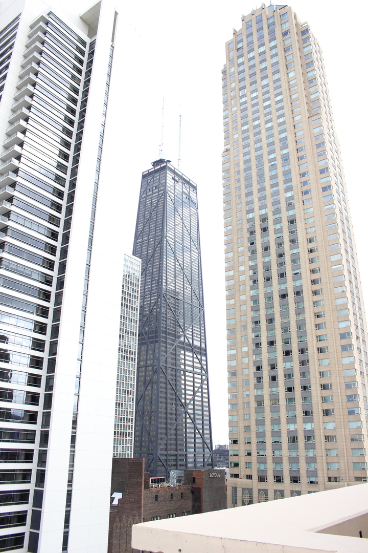 747 North Wabash Avenue, Unit 2501 Chicago, IL 60611 - Photo 21 of 31