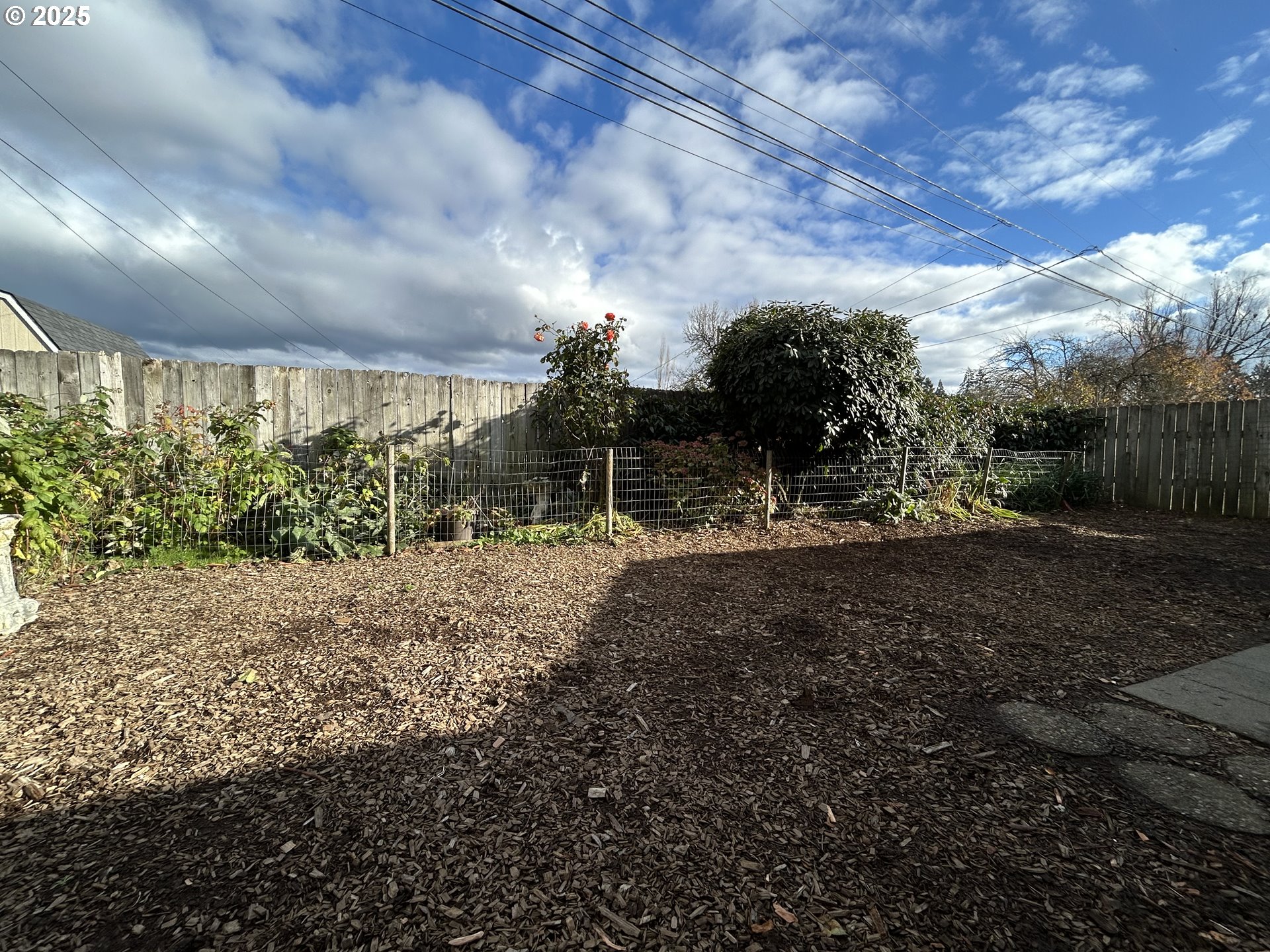 1205 Mill Street Springfield, OR 97477 - Photo 24 of 28