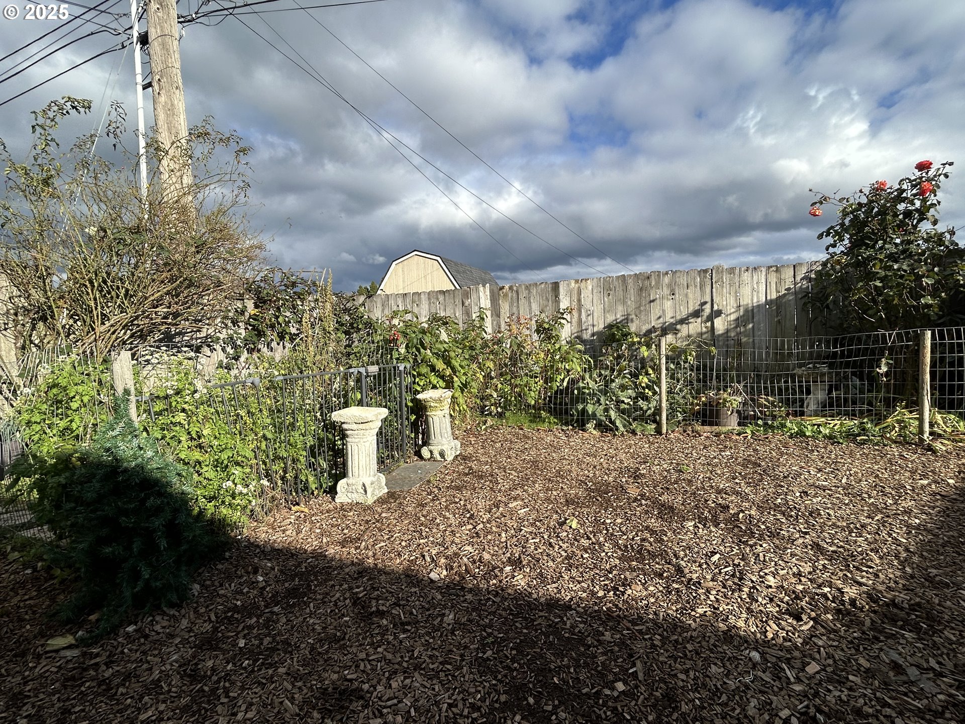 1205 Mill Street Springfield, OR 97477 - Photo 25 of 28