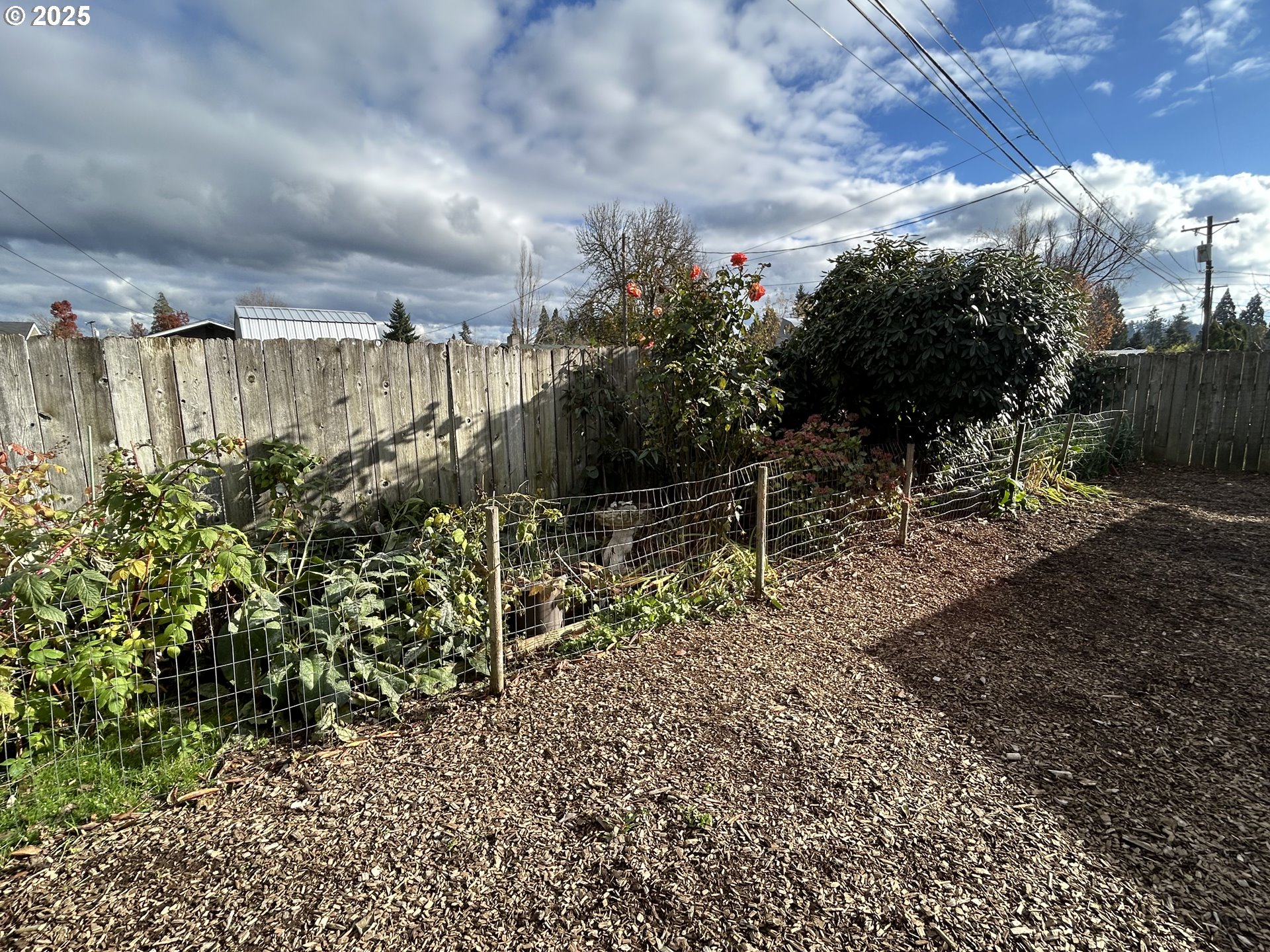 1205 Mill Street Springfield, OR 97477 - Photo 27 of 28