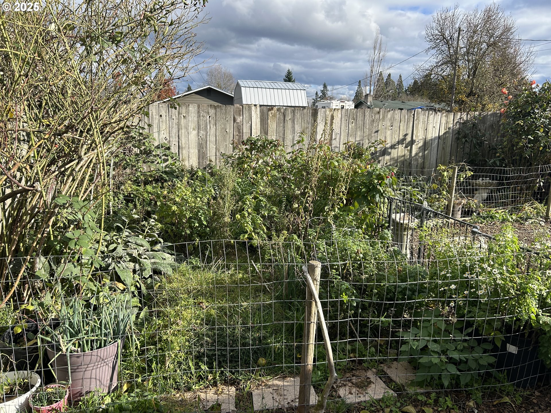 1205 Mill Street Springfield, OR 97477 - Photo 28 of 28