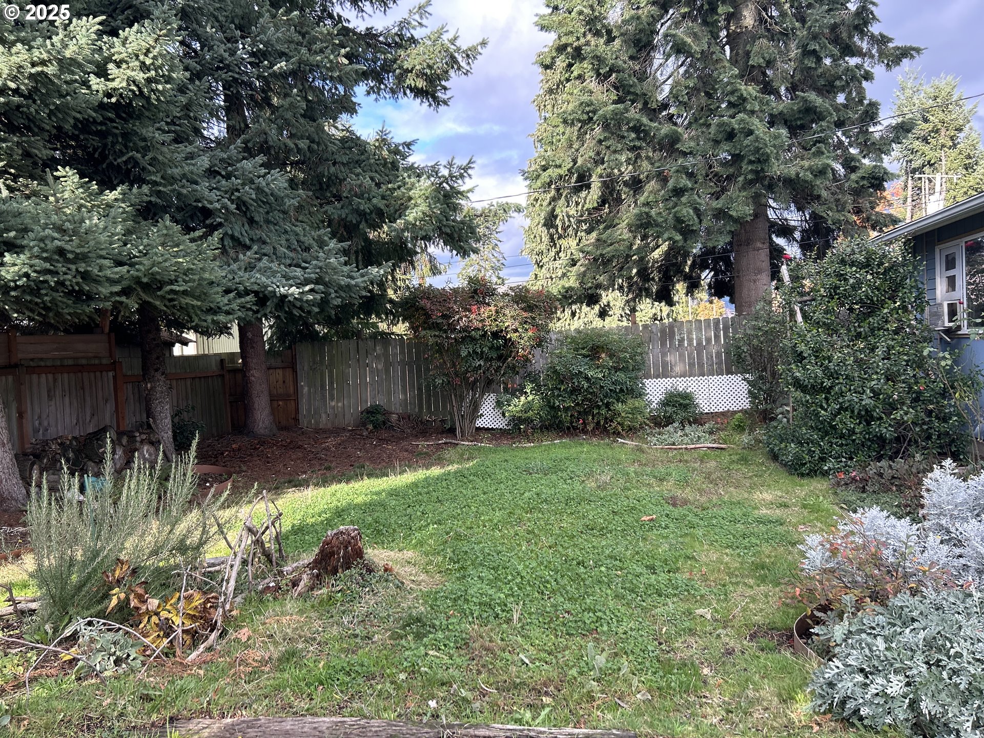 1205 Mill Street Springfield, OR 97477 - Photo 4 of 28