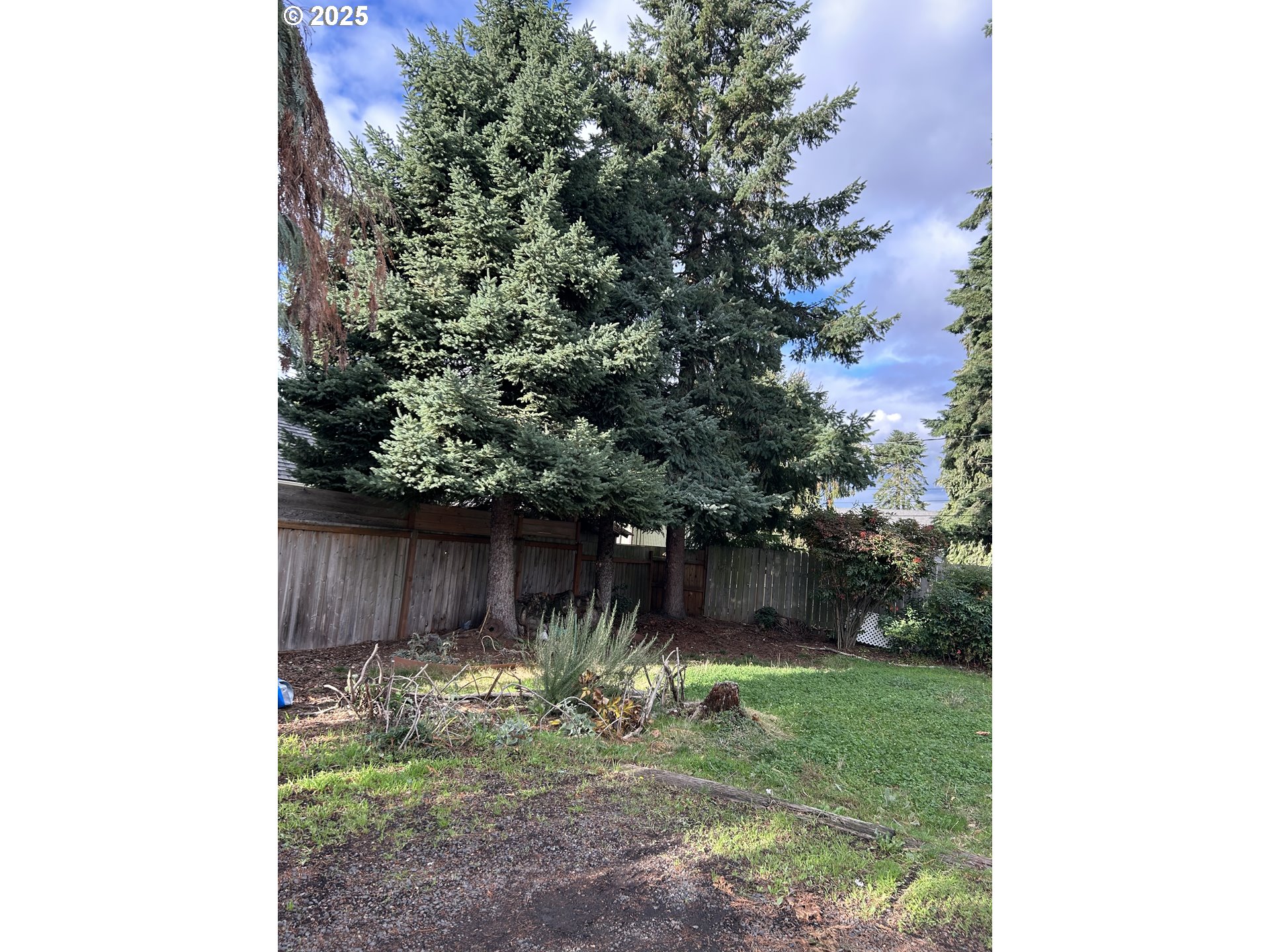 1205 Mill Street Springfield, OR 97477 - Photo 5 of 28