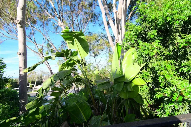 $5,500 | 3249 Whiffletree Lane, Torrance, CA 90505