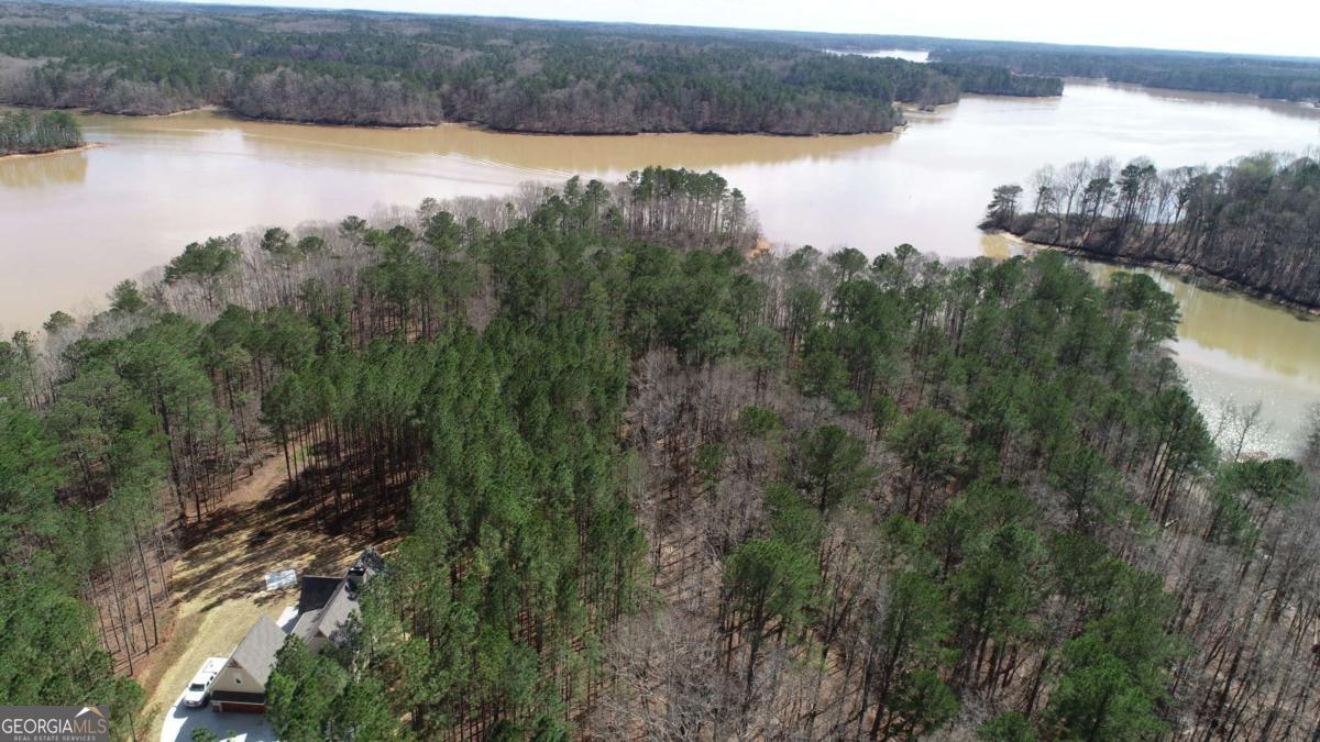 14 Firefly Run LaGrange, GA 30240 - Photo 6 of 7 a view of a lake from a yard