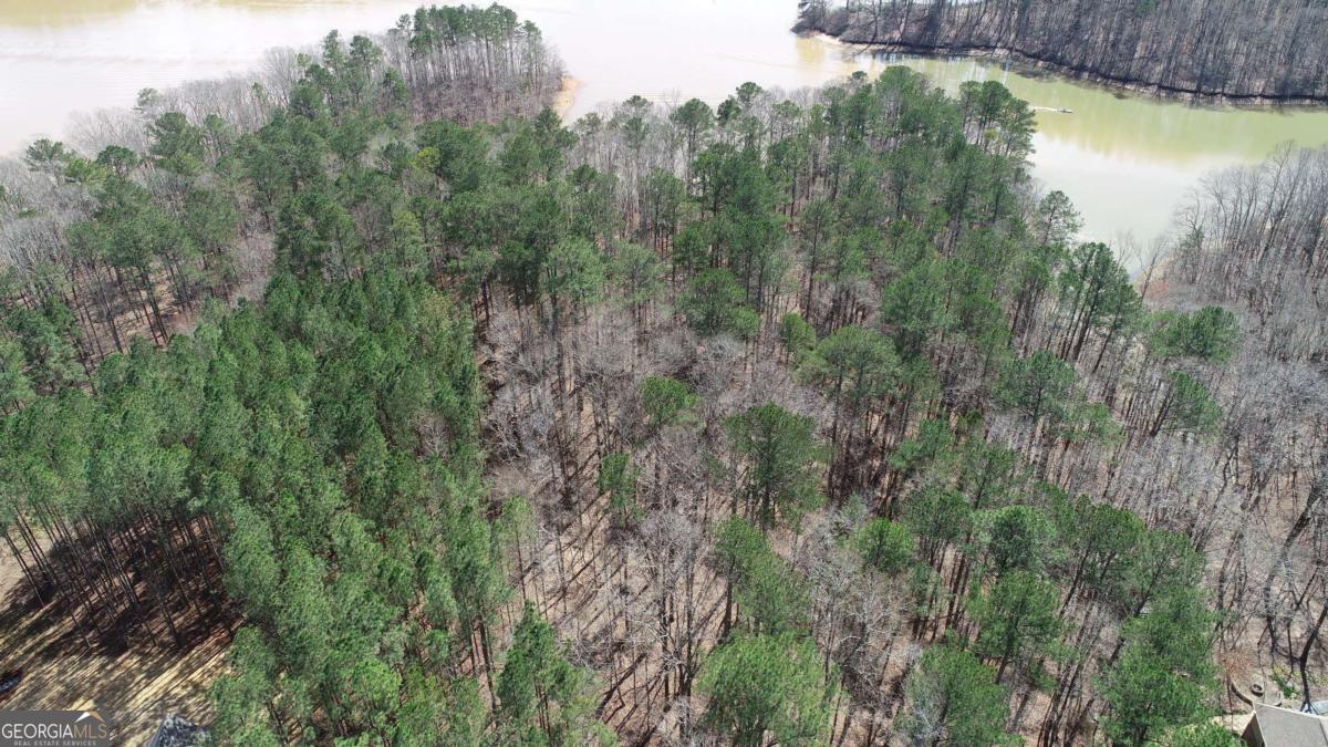 14 Firefly Run LaGrange, GA 30240 - Photo 7 of 7 a view of a lake in middle of forest