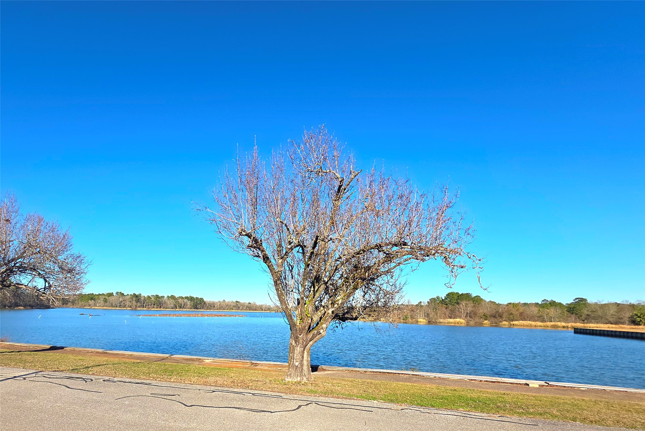 22468 Pebble Beach Way Point Blank, TX 77364 - Photo 17 of 22