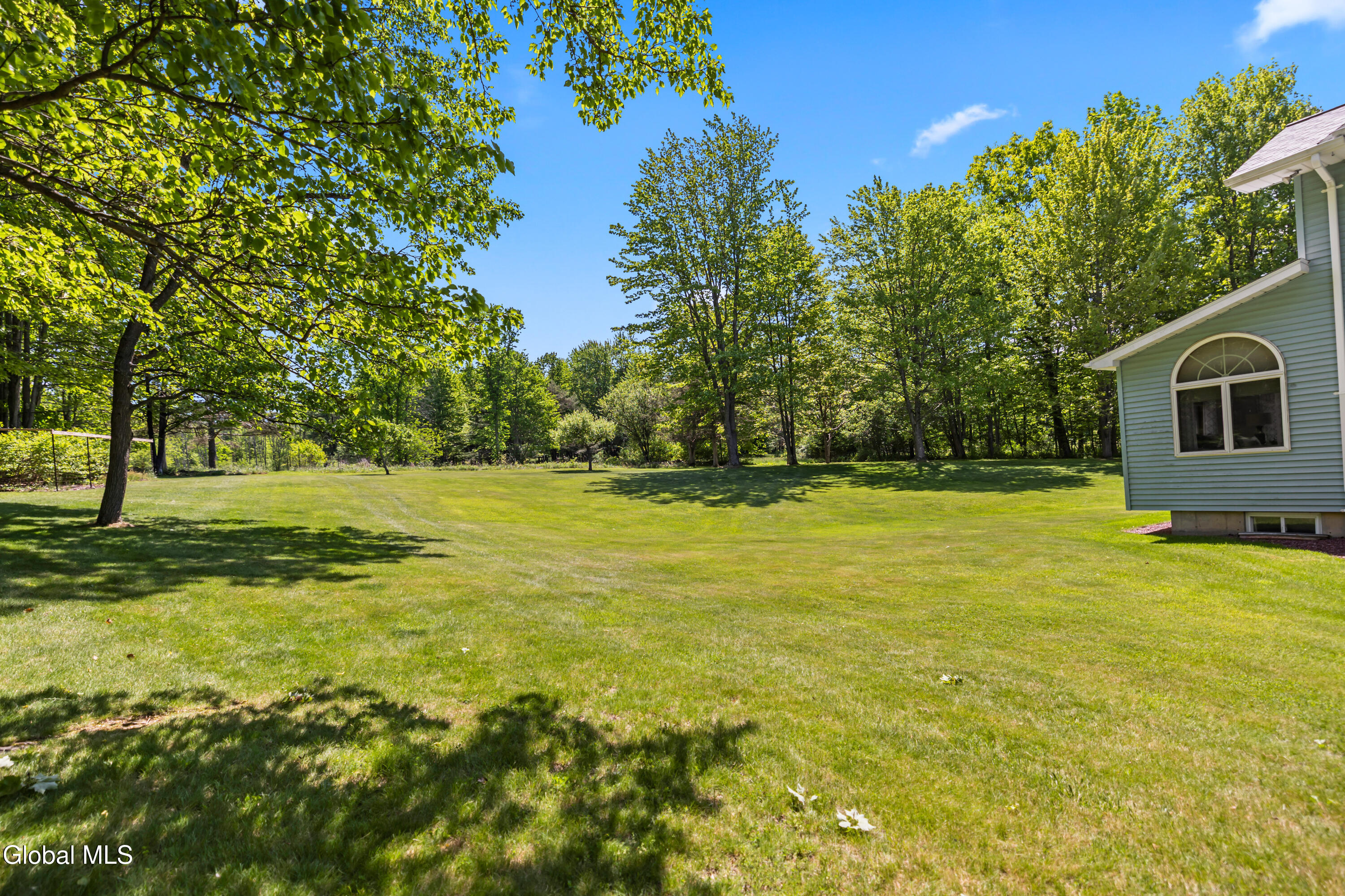 863 Turnbull Road Delanson, NY 12053 - Photo 17 of 79 Backyard_1