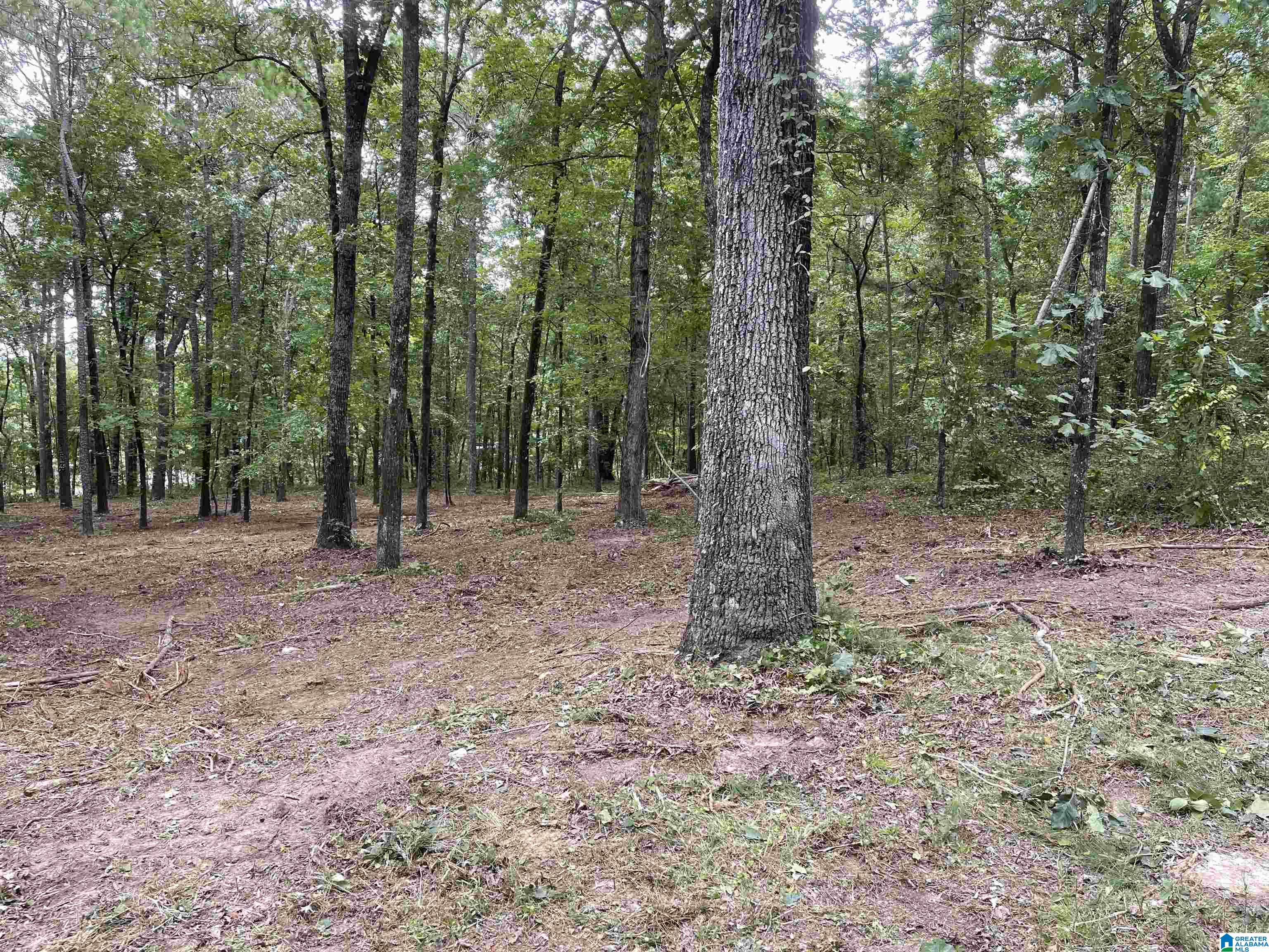 1 Centaurus Circle, Unit 2 Alpine, AL 35014 - Photo 10 of 15