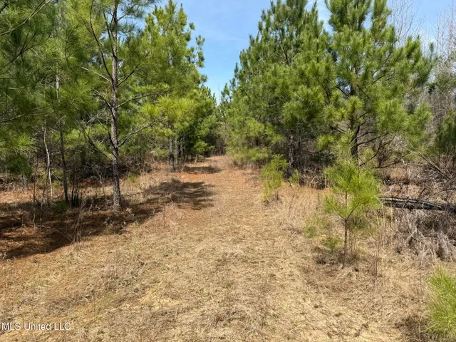 $179,900 | Clyde Evans Road, Newton, MS 39345