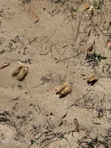 $179,900 | Clyde Evans Road, Newton, MS 39345