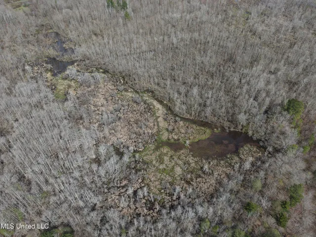 $179,900 | Clyde Evans Road, Newton, MS 39345