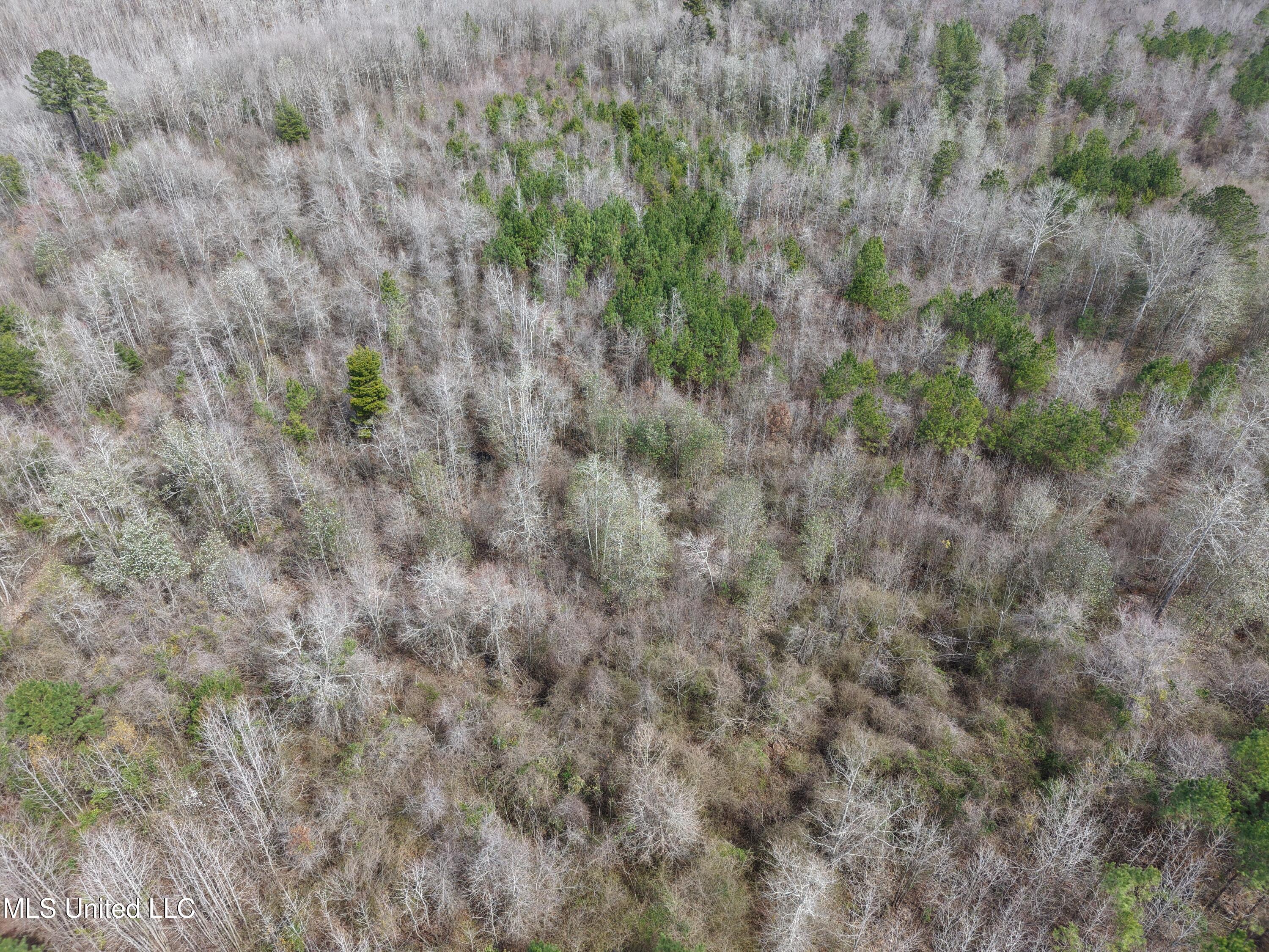 Clyde Evans Road Newton, MS 39345 - Photo 15 of 28 DJI_20250307112707_0021_D