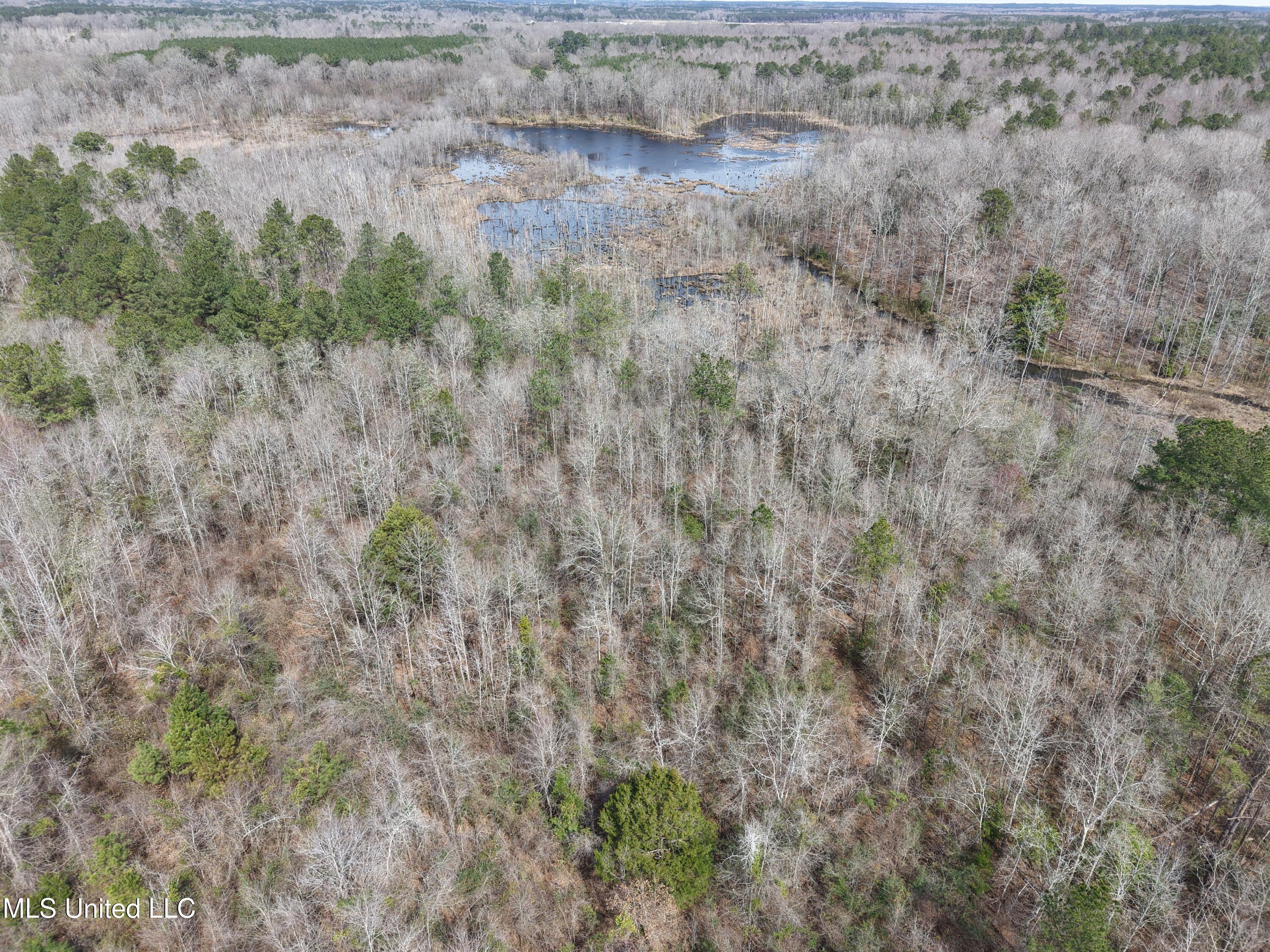 Clyde Evans Road Newton, MS 39345 - Photo 16 of 28 DJI_20250307113142_0024_D