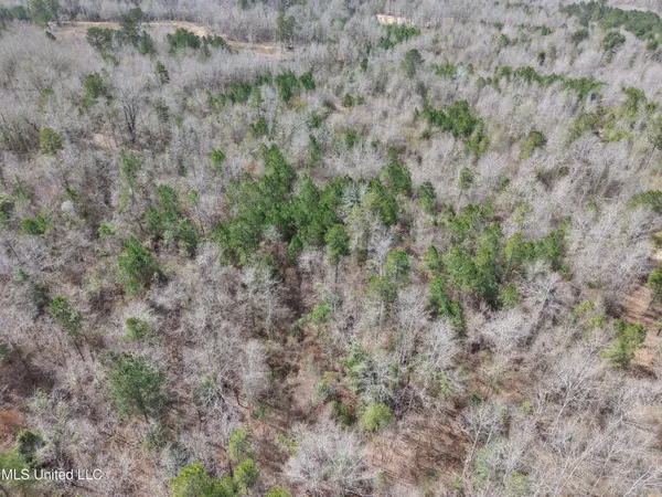 $157,740 | Clyde Evans Road, Newton, MS 39345