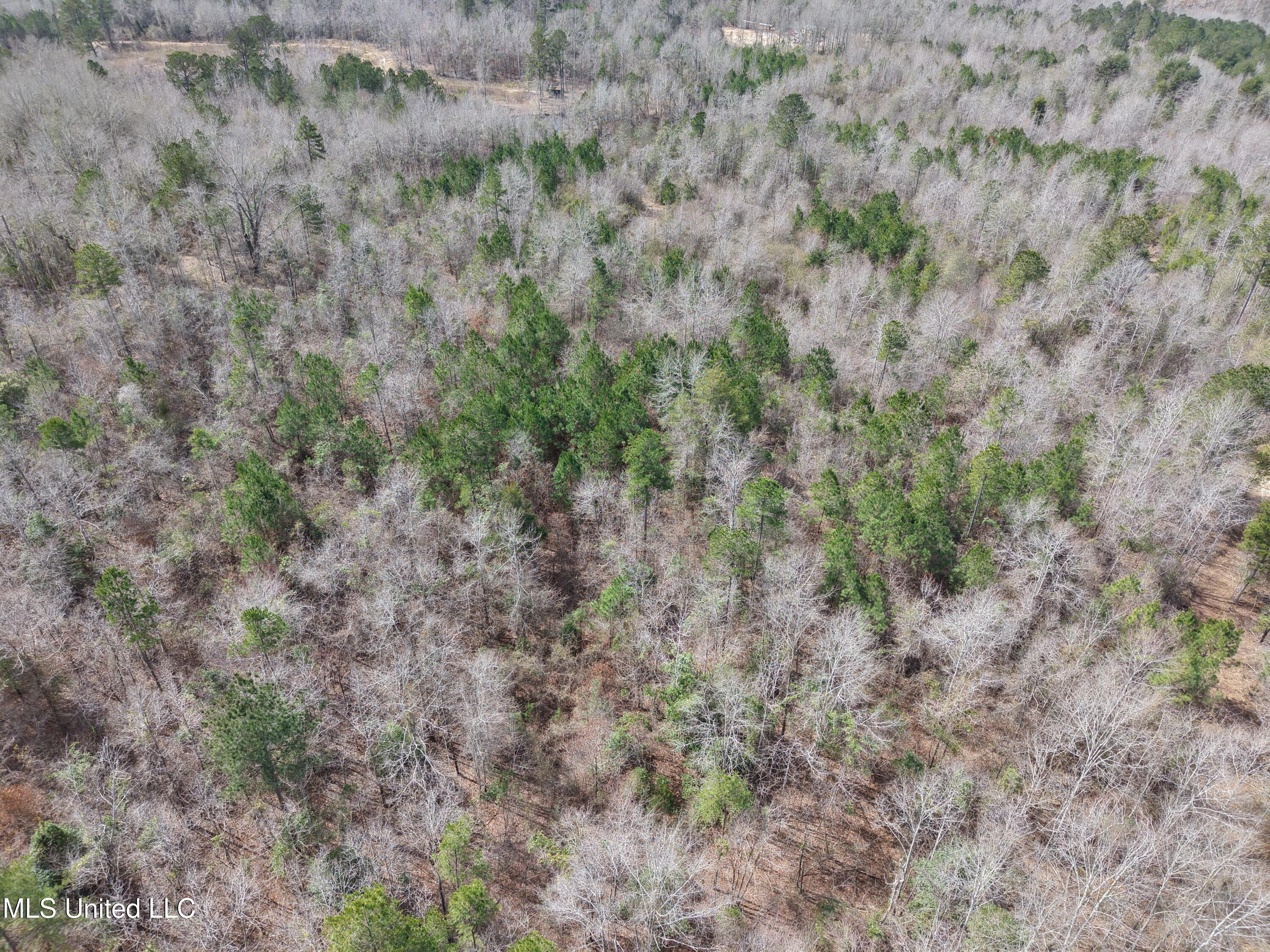 Clyde Evans Road Newton, MS 39345 - Photo 17 of 28 DJI_20250307113204_0025_D