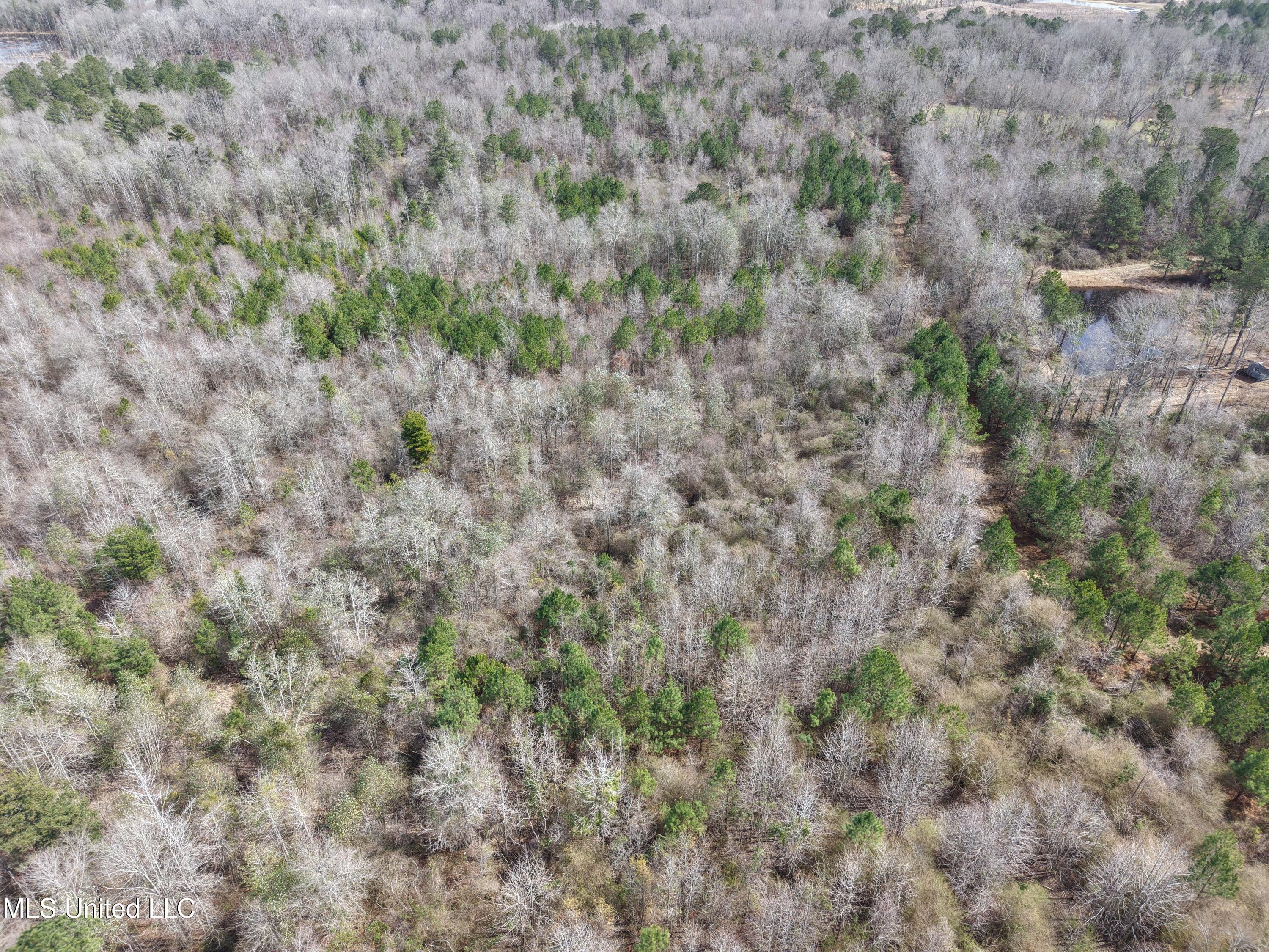 Clyde Evans Road Newton, MS 39345 - Photo 19 of 28 DJI_20250307114028_0029_D