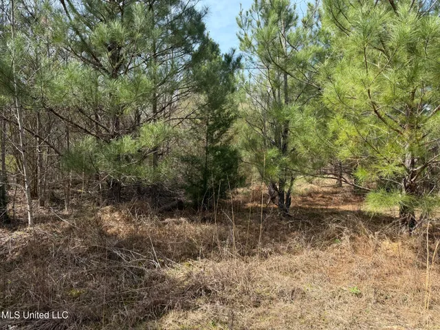 $179,900 | Clyde Evans Road, Newton, MS 39345
