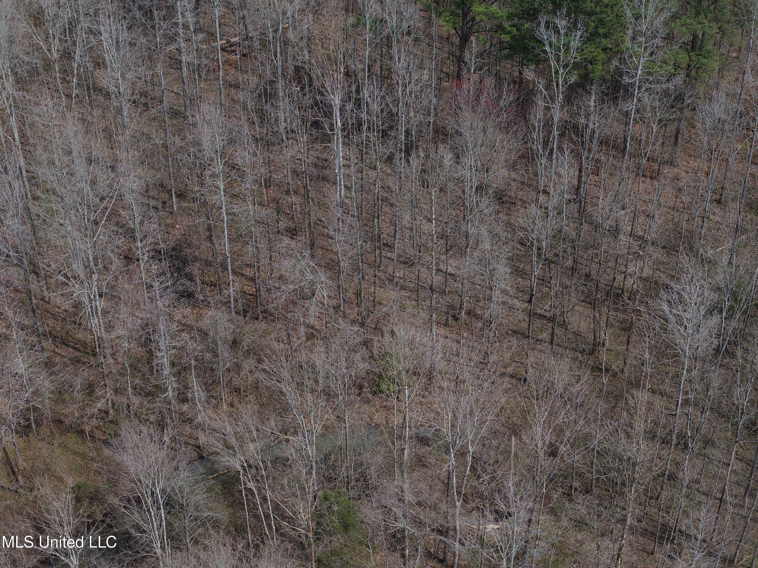 Clyde Evans Road Newton, MS 39345 - Photo 21 of 28 DJI_20250307114637_0032_D