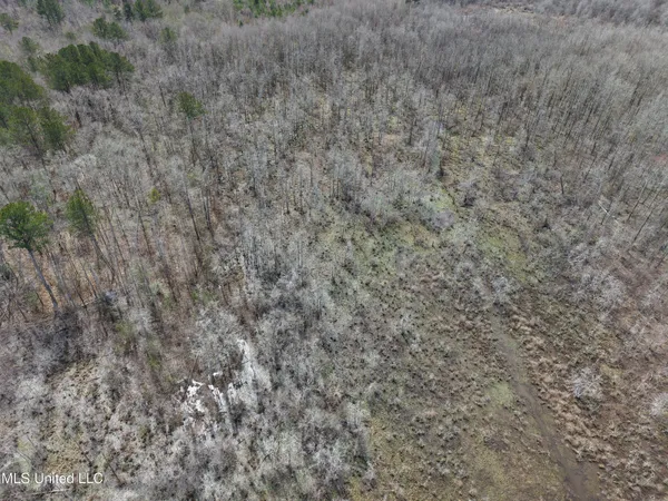 $157,740 | Clyde Evans Road, Newton, MS 39345