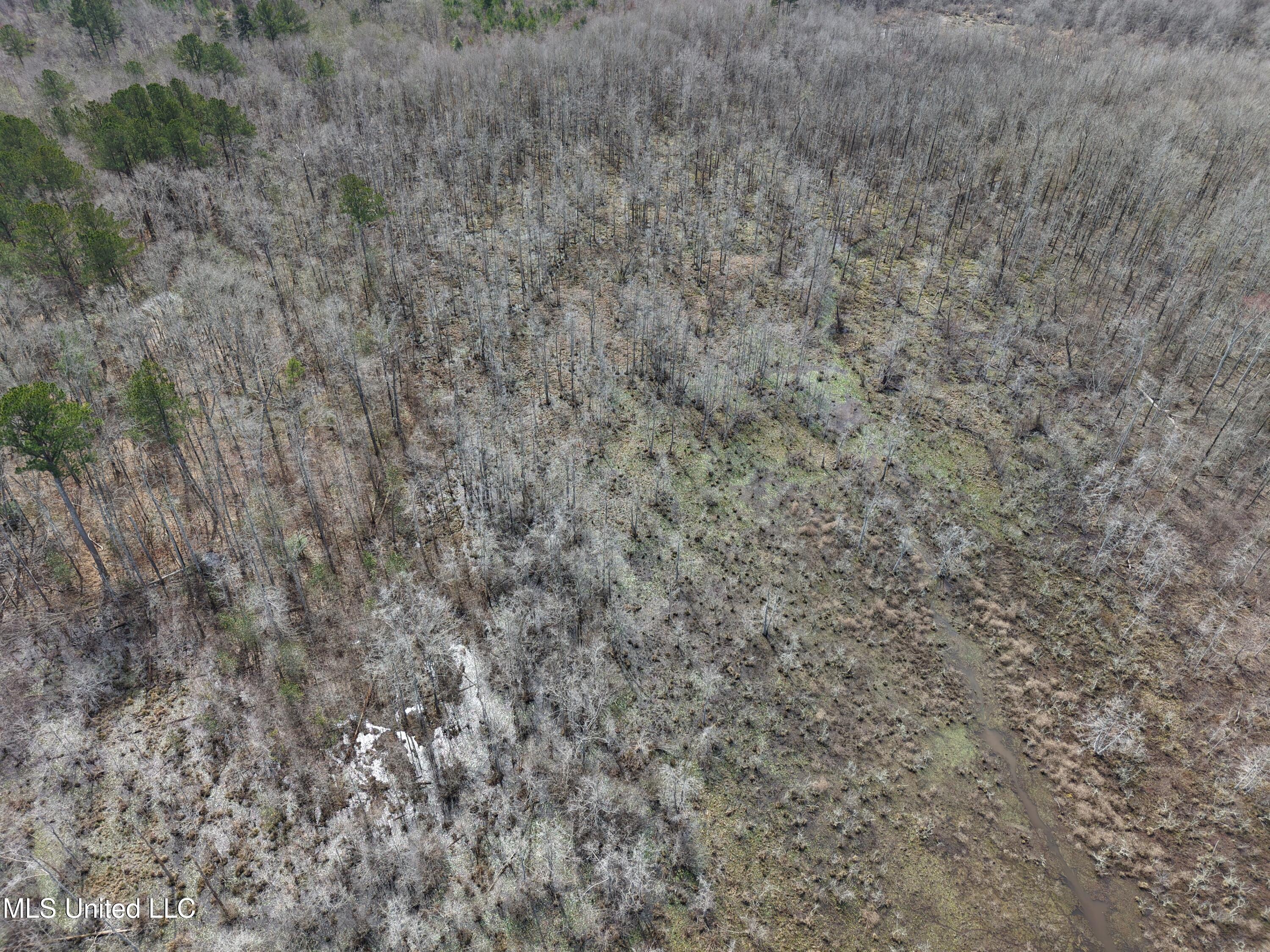 Clyde Evans Road Newton, MS 39345 - Photo 22 of 28 DJI_20250307114808_0035_D