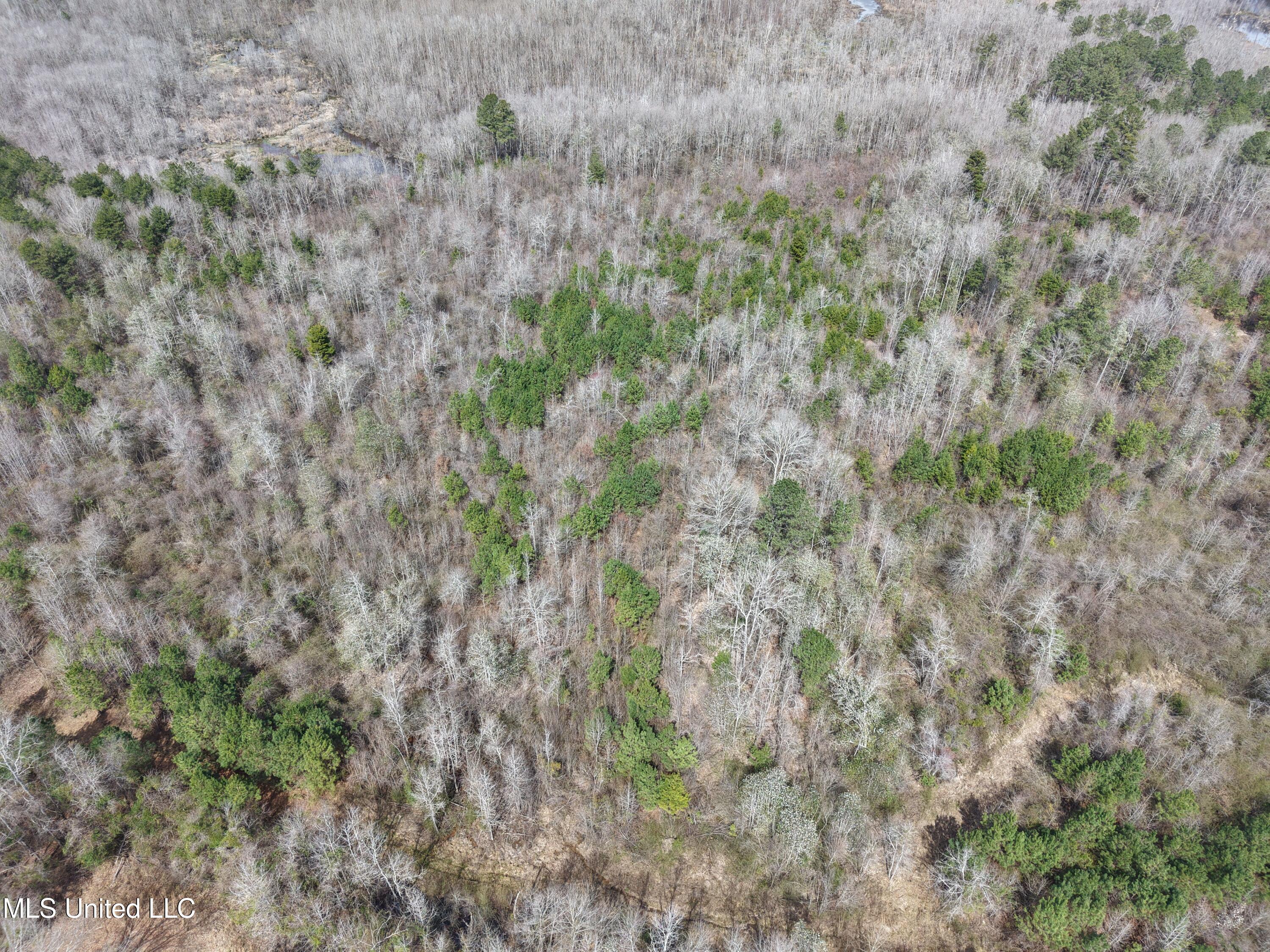 Clyde Evans Road Newton, MS 39345 - Photo 24 of 28 DJI_20250307115333_0037_D