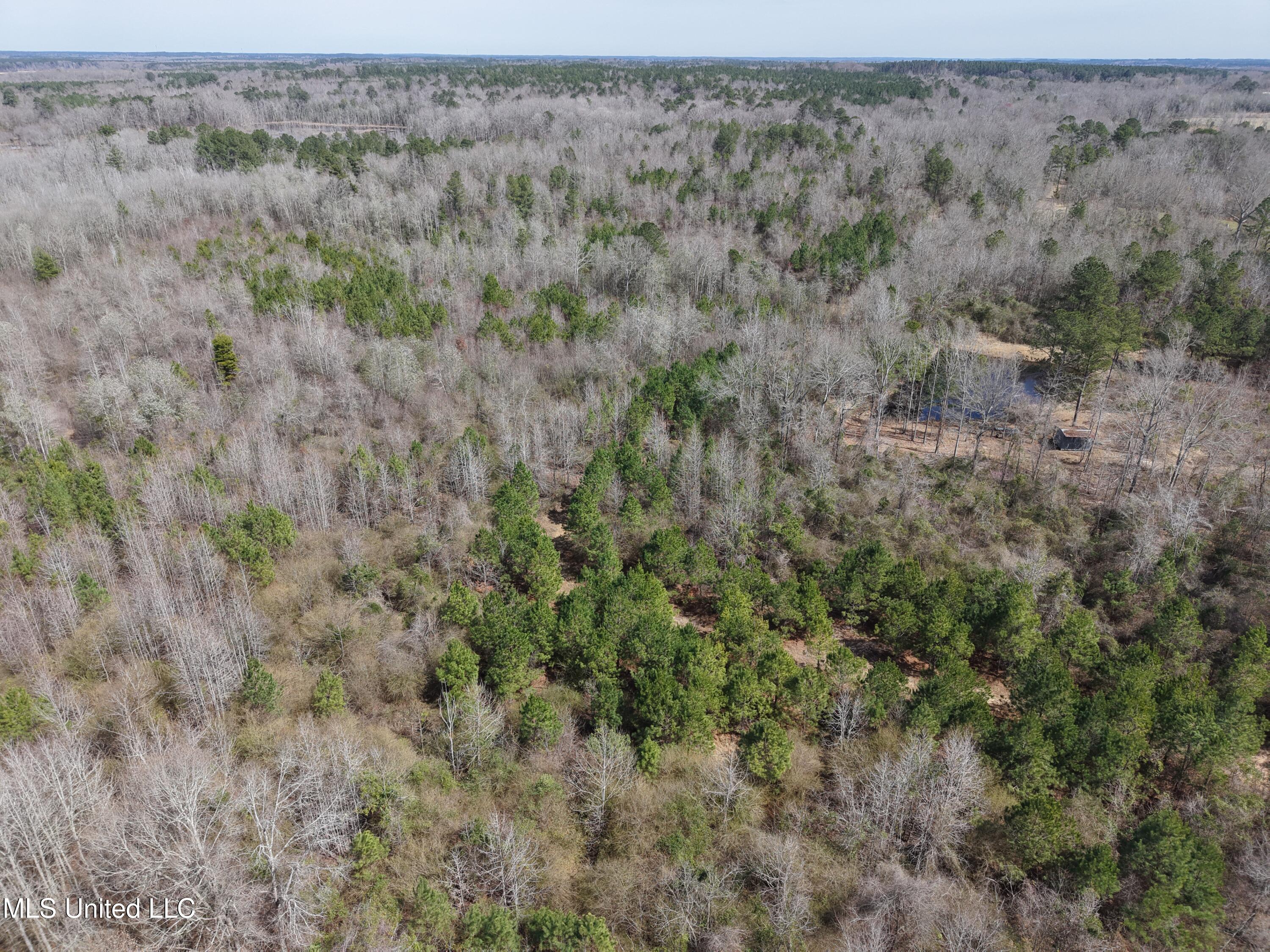 Clyde Evans Road Newton, MS 39345 - Photo 25 of 28 DJI_20250307120456_0038_D