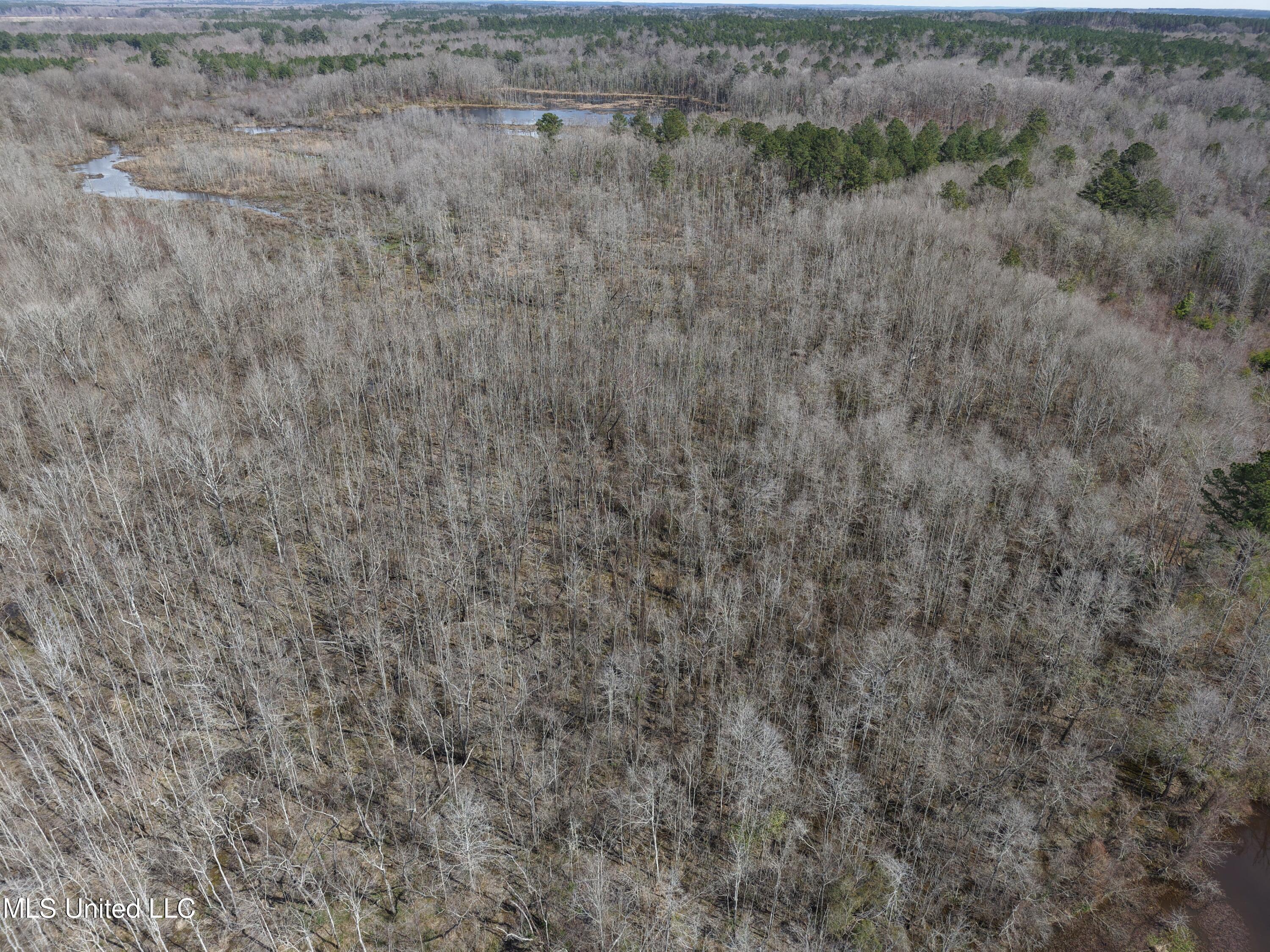 Clyde Evans Road Newton, MS 39345 - Photo 26 of 28 DJI_20250307121057_0040_D