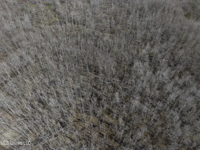 $179,900 | Clyde Evans Road, Newton, MS 39345