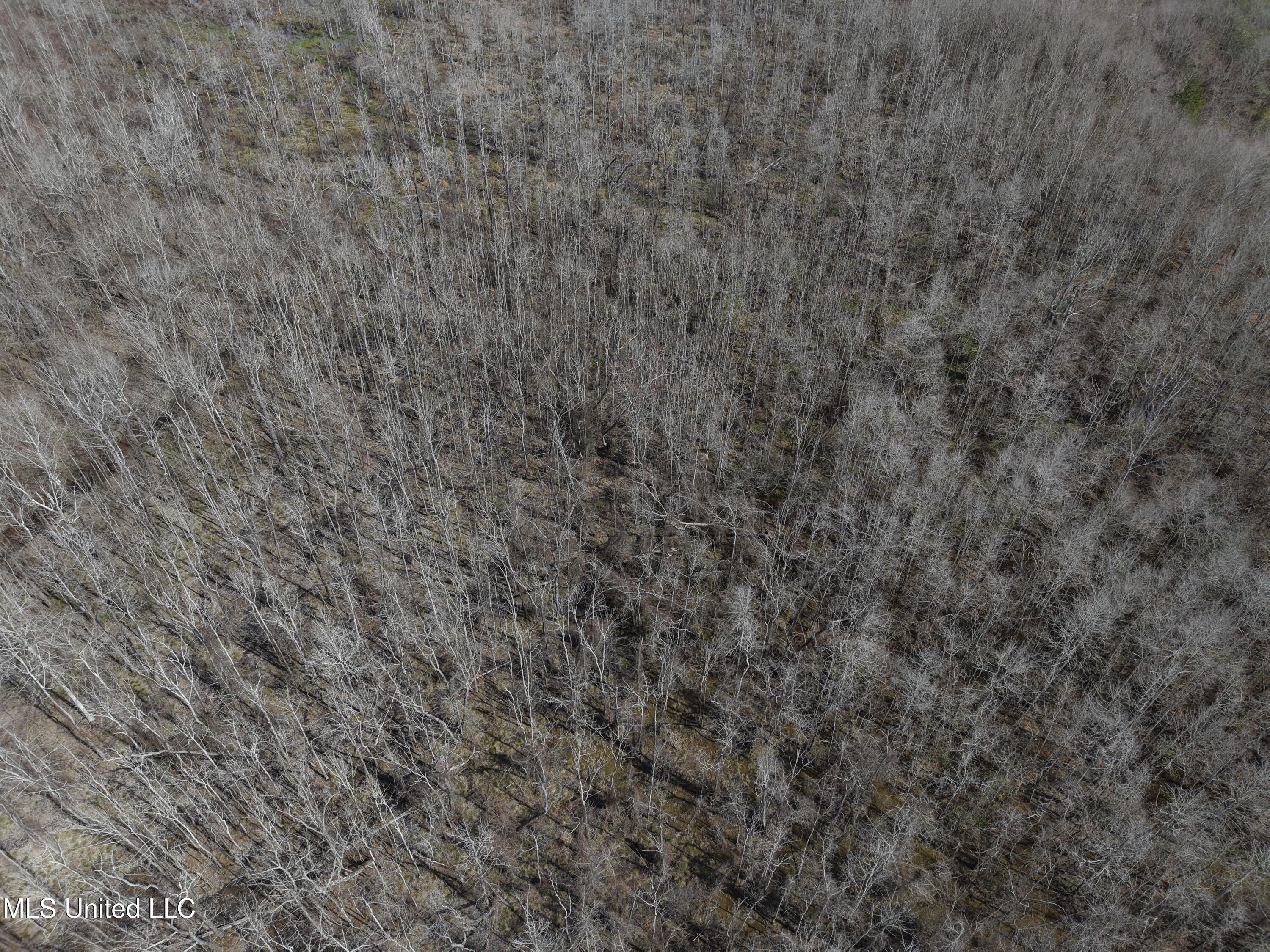 Clyde Evans Road Newton, MS 39345 - Photo 27 of 28 DJI_20250307121110_0041_D