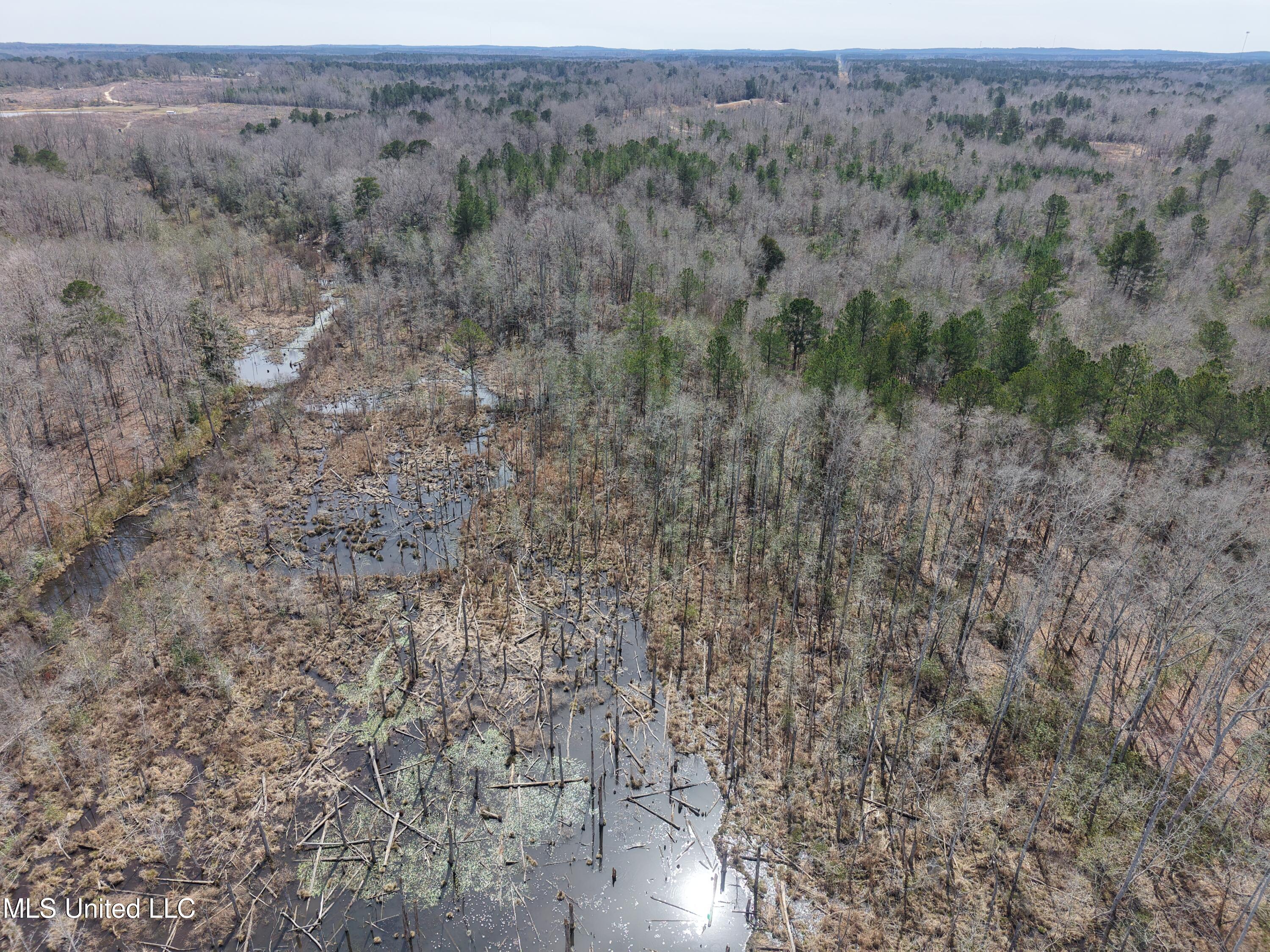 Clyde Evans Road Newton, MS 39345 - Photo 28 of 28 DJI_20250307121216_0044_D
