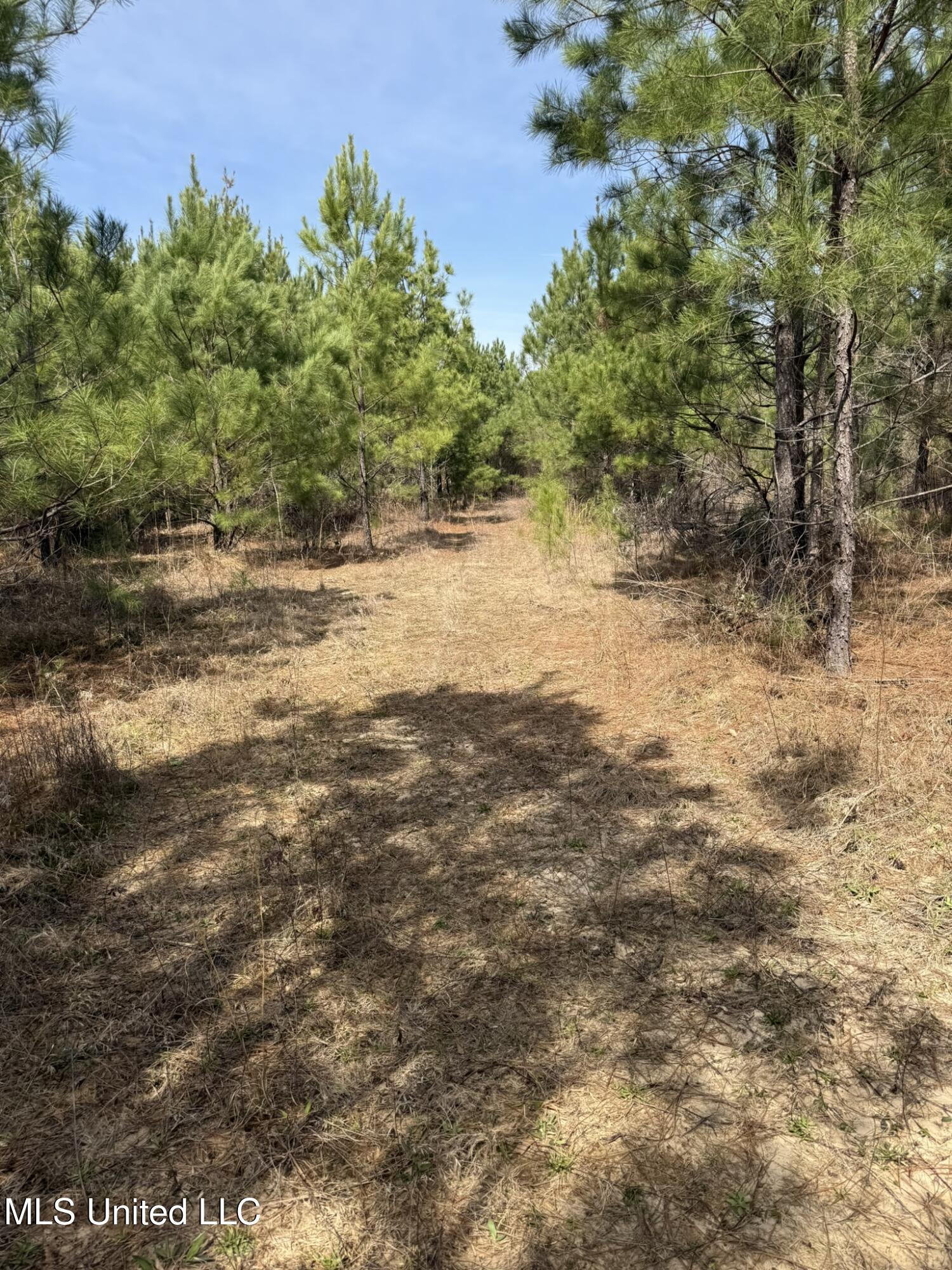 Clyde Evans Road Newton, MS 39345 - Photo 3 of 28 IMG_0499