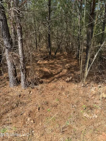 $179,900 | Clyde Evans Road, Newton, MS 39345