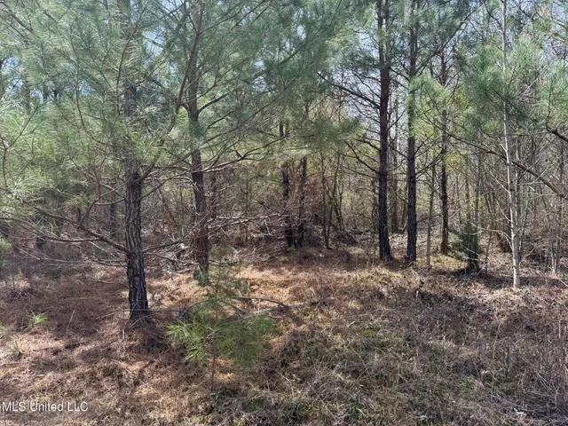 $179,900 | Clyde Evans Road, Newton, MS 39345