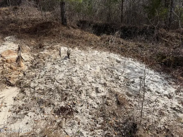 $157,740 | Clyde Evans Road, Newton, MS 39345