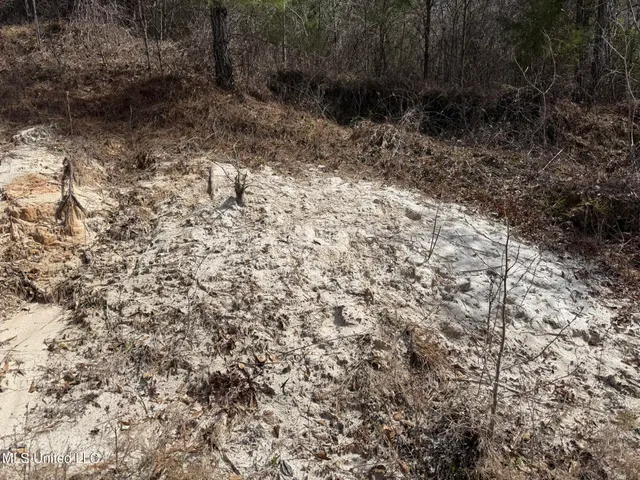 $179,900 | Clyde Evans Road, Newton, MS 39345